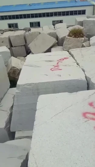 Production en gros en usine en Chine G364 de granit rose en fleurs de cerisier pour le pavage d'aménagement paysager, pavage vert de quartier résidentiel 300 * 300